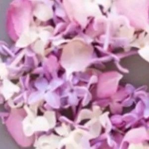 Meet your Posher, Joslyn